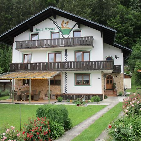 Haus Moser Wörschach المظهر الخارجي الصورة